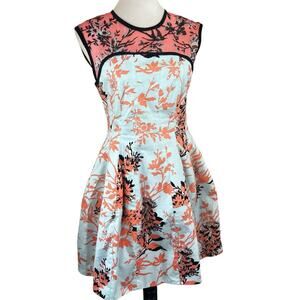 Nanette Lepore Floral Fit & Flare Dress Size 6 | 100% Cotton | Illusion Mesh